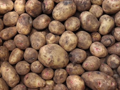 ��� ����� ��������� ��������� � �������� ��������: ������ ���������