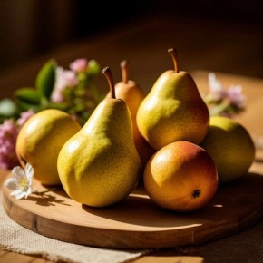 ����� �� ����� �����: ��� ������������ �������, ������� ����� �����������