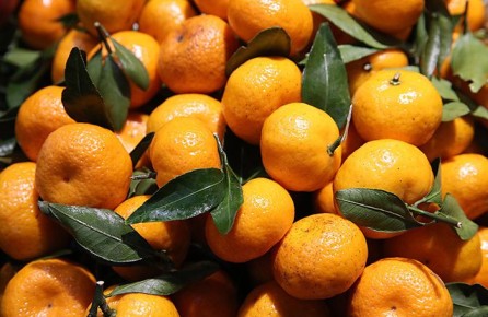 ��������� � ������ ����: ���� ��������, �� �������������