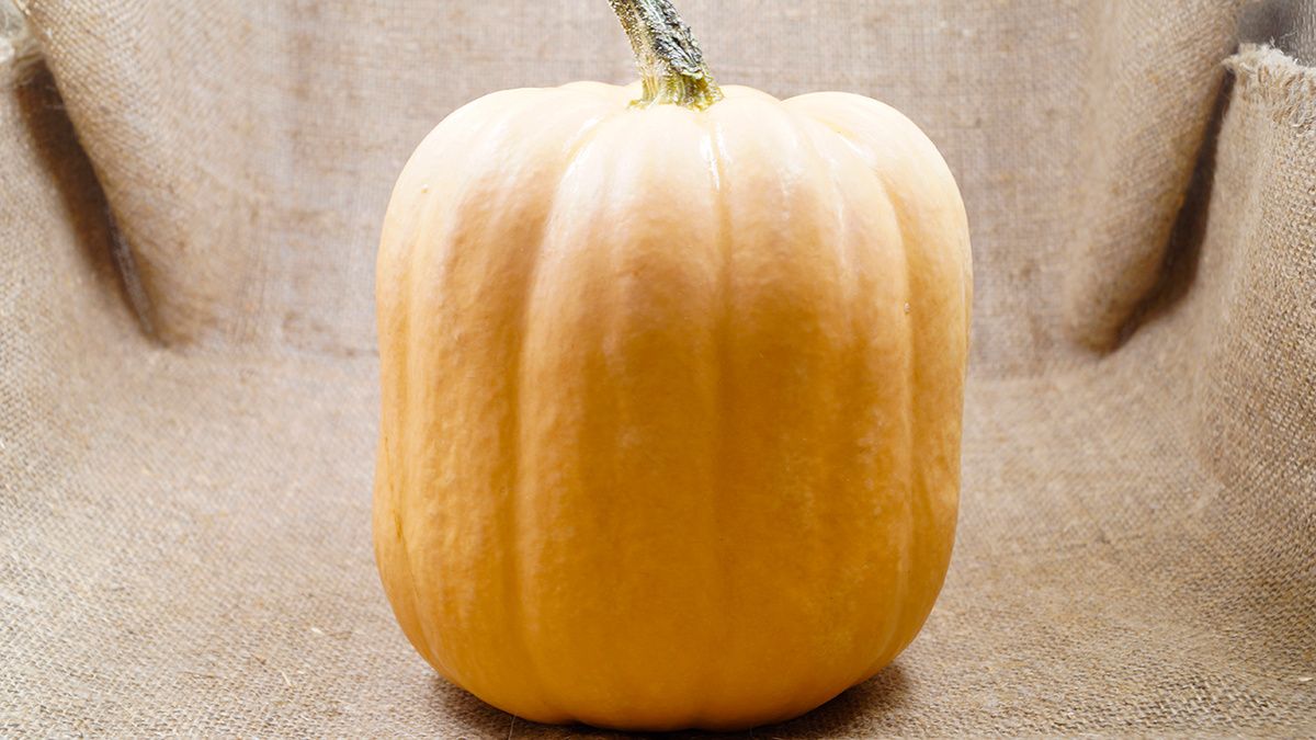 Как тыква становится простым источником уютного меню на каждый день