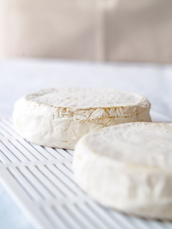 ������� ��������� ��������� ��� ���������: ��� �������� ������