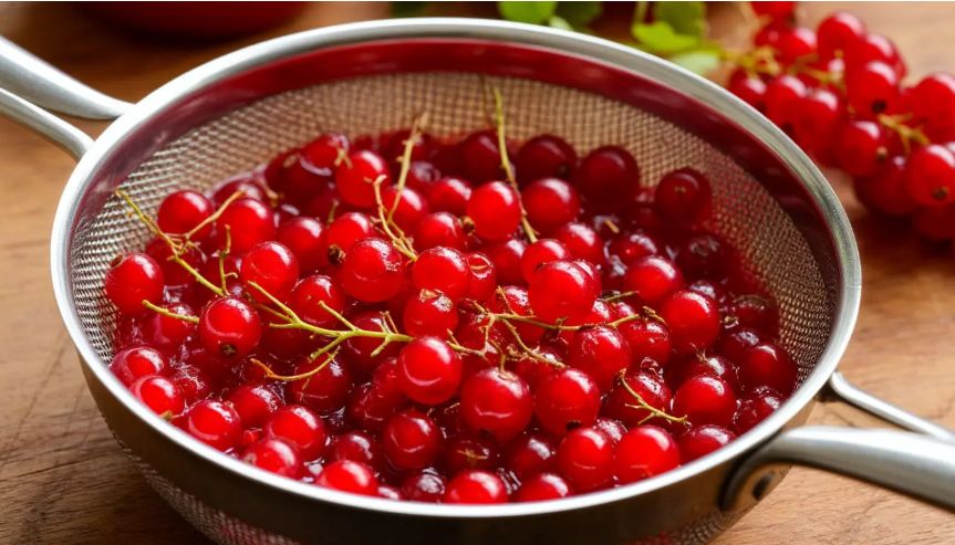 ���������� ���� �� ������� ��������� ����� �� 15 �����