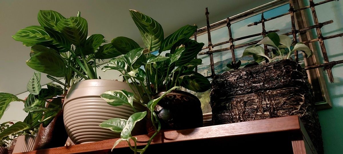 Творить из хлама: как украсить дом своими руками