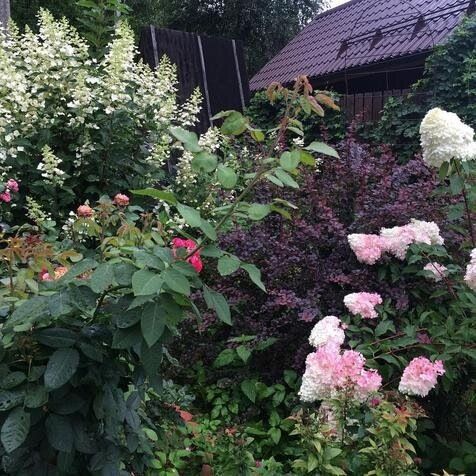 Фестиваль садов: возможность блеснуть среди зеленых шедевров