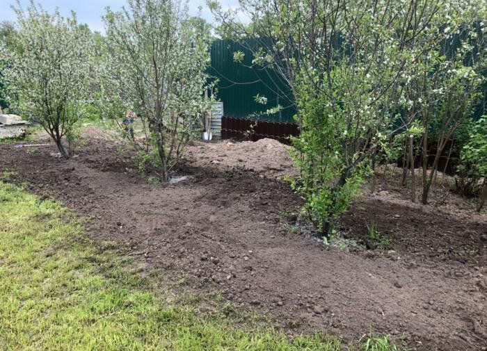 ��� ����� ������� �������, ��������� ��������� ��� ���