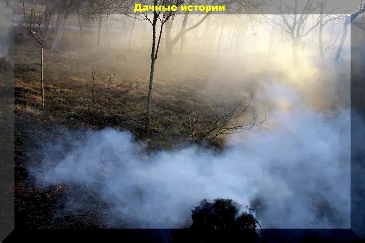 ����������� ������ ������ ����� � �������� �� �������