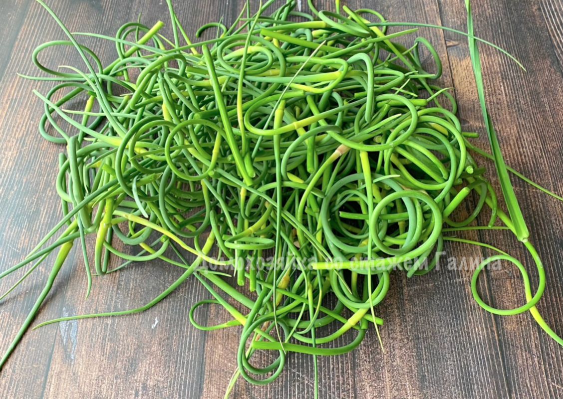 ��������� ��������� �����: ������� ������ ��� ��������