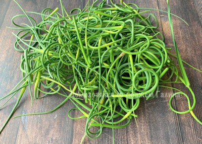 ��������� ��������� �����: ������� ������ ��� ��������