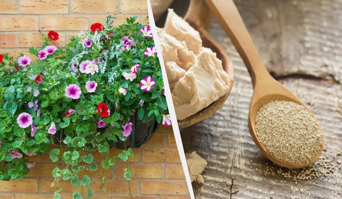 ������� ������� �������� �������: ��� ����� ���������� ����� �� �����