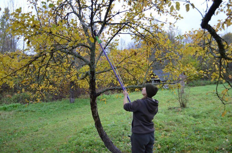 ����� ������� ������� ������: ��� �������� ������, ������� ����� ��������