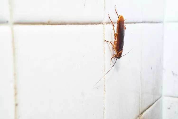 �������� ����� � ����: ��� � ���� ����������?