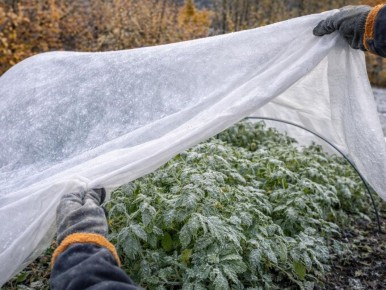 ��� �������� ������ ������� ������������� ������: ������ ���������