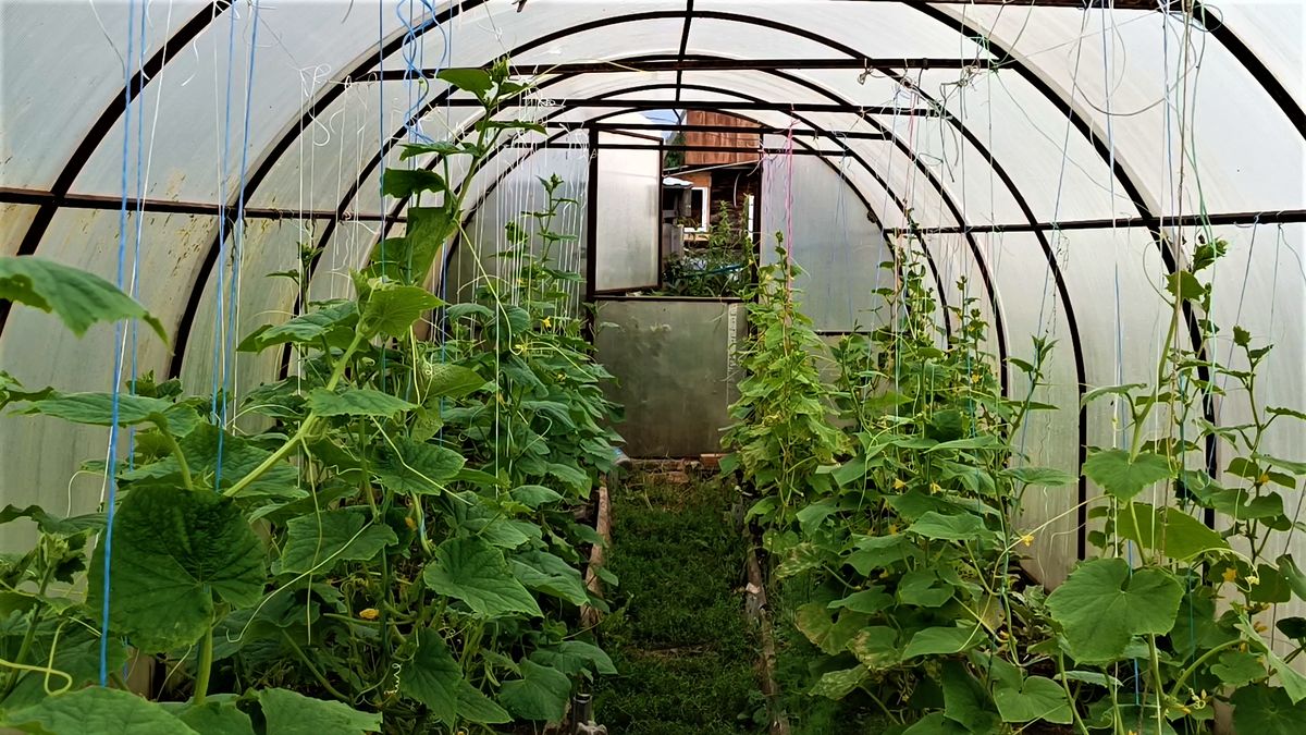 ��� ������ ������: �������� ���� ������� ������ � ��������