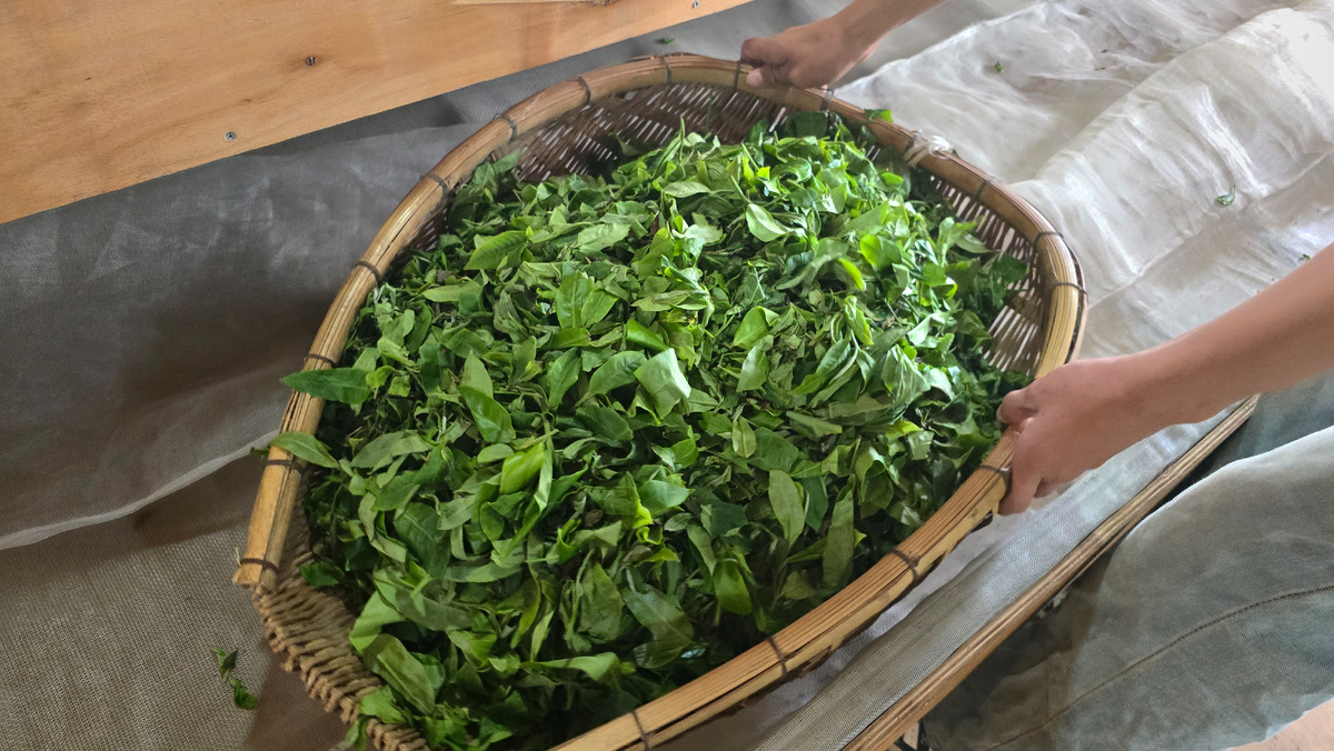 Вишенка на вершине: как состав чая формирует уникальный вкус