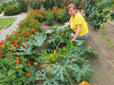 ��� �������� ������ ��������: ������ ���������