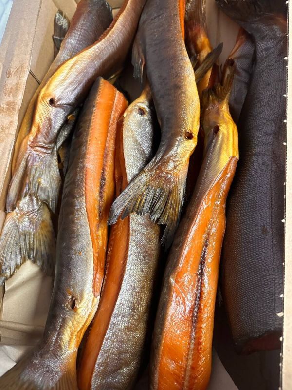 ������ ������� ��������� ��������: ����� ��������� �� ��������������� ����