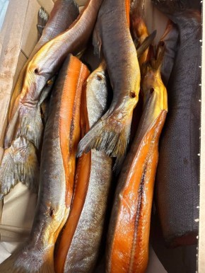 ������ ������� ��������� ��������: ����� ��������� �� ��������������� ����