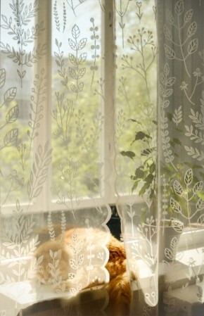 ��� ������� ��� � ���� � ������� ������� ������� �� Wildberries