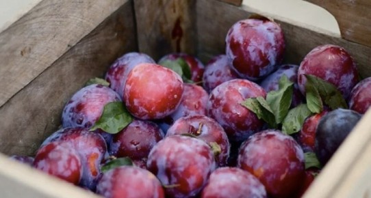 ��� ��������� ����� ������� �� �����: �������� ��� ������������