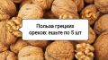 Секрет здоровья: всего 5 грецких орехов в день изменят вашу жизнь