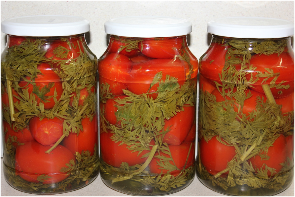 Как правильно мариновать помидоры с морковной ботвой на зиму