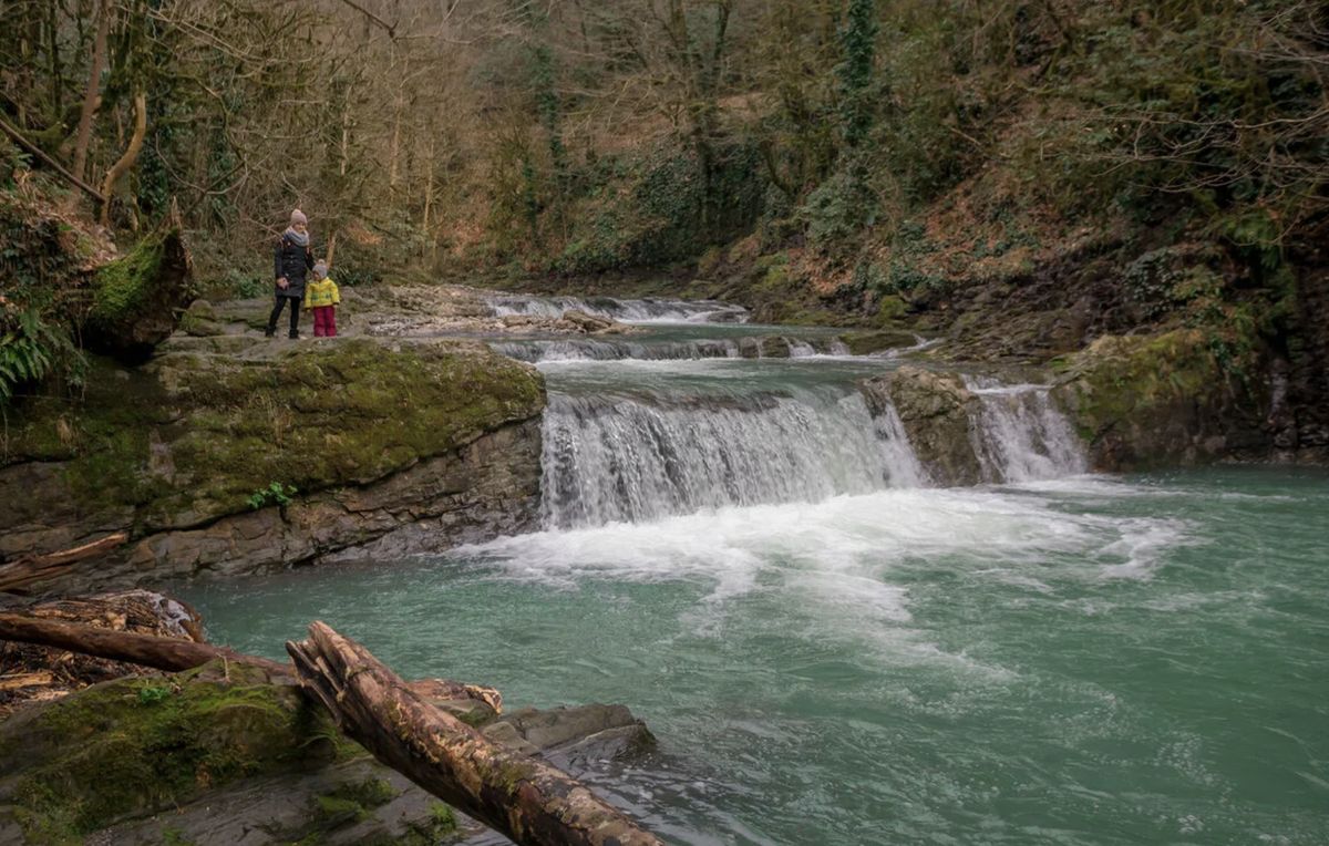 ������������ ��������, � ������� ����� ���������