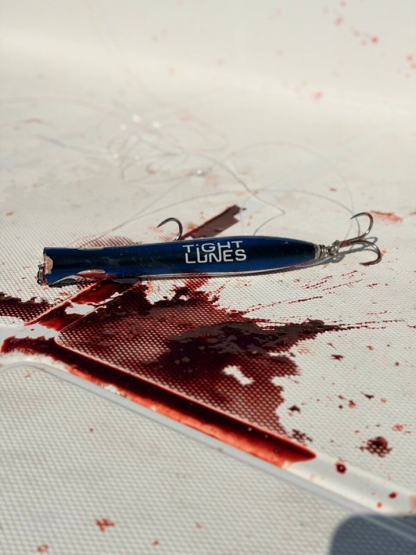 ����, ����� ����� ���� �� ����: ��� ����� �����