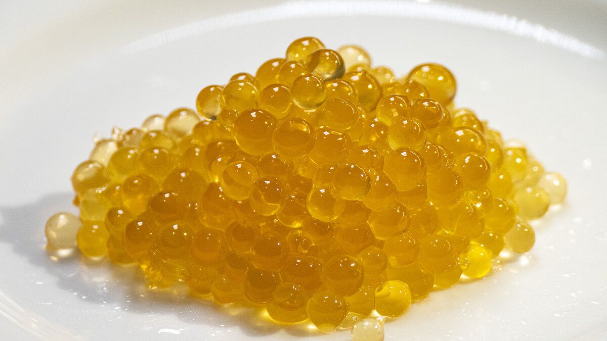 ��� ����������� ������� ����: ������� ������������ �����