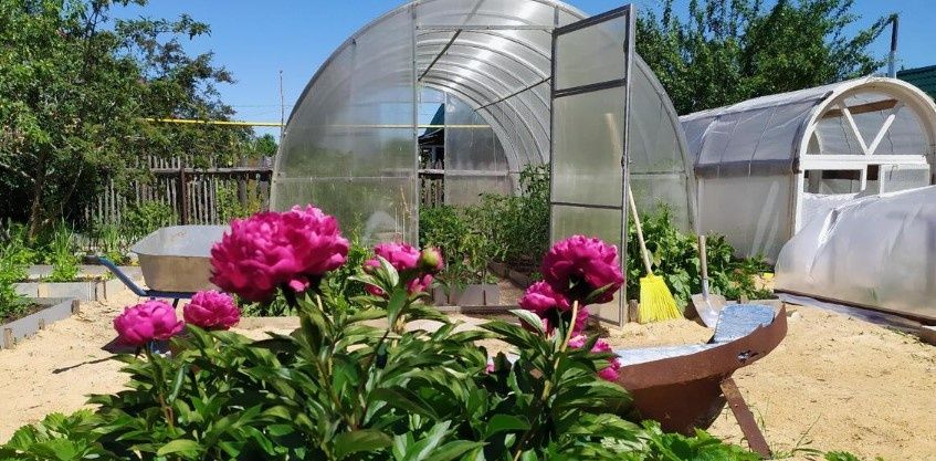 ��� ������ ������� �� �������������: ������������ �����������