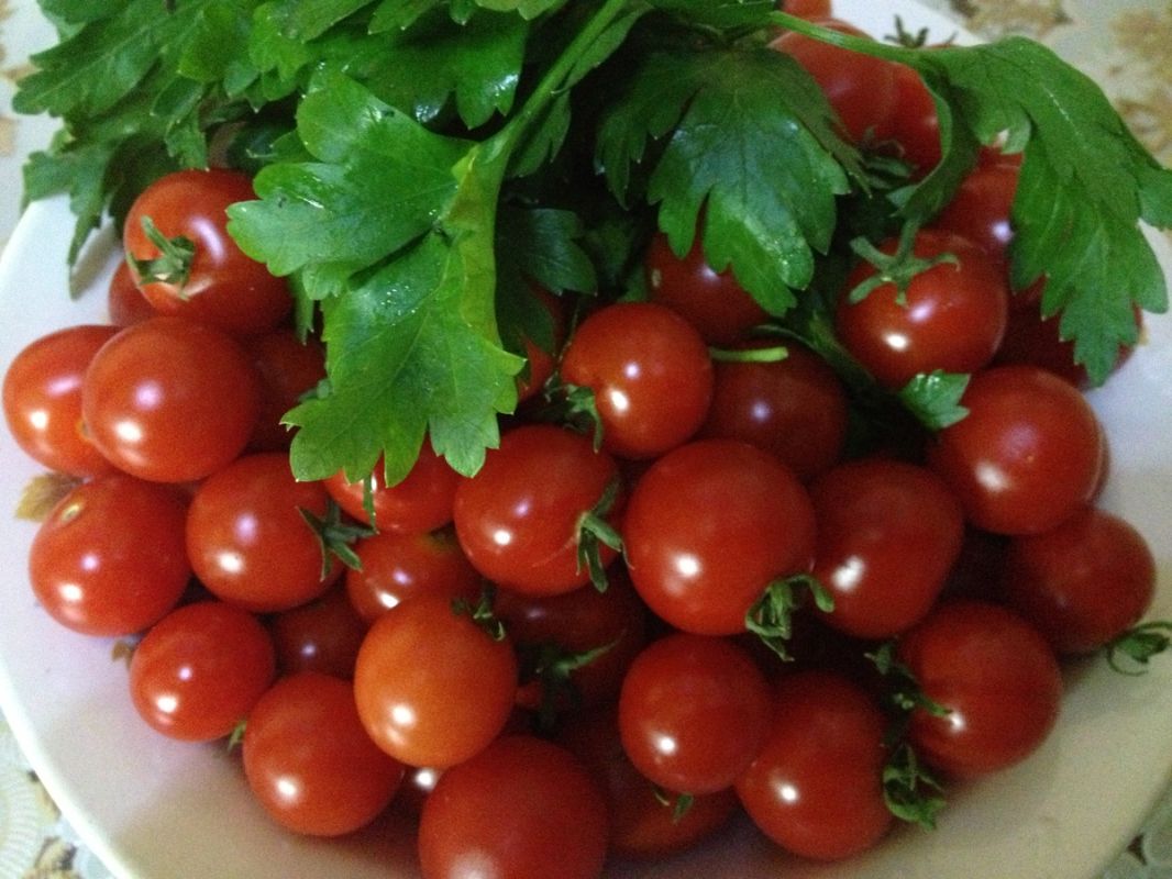 ��� ��������� ������ �� �������: ������ ��� ������� � ����������