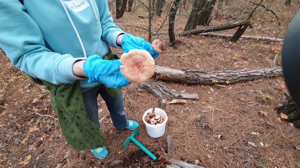 ������� �� ��������� ��������� � ����, �� ��������� ������ �� ������