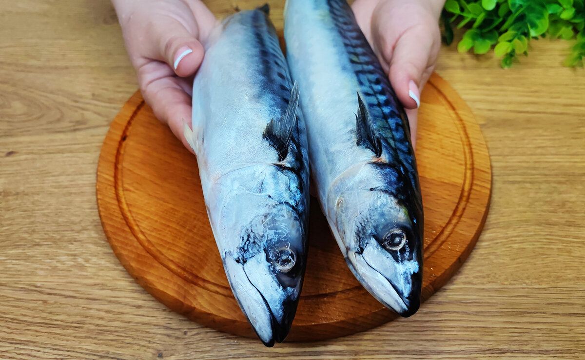 ��������� ������ ������������ ��������, ������� ������ ���