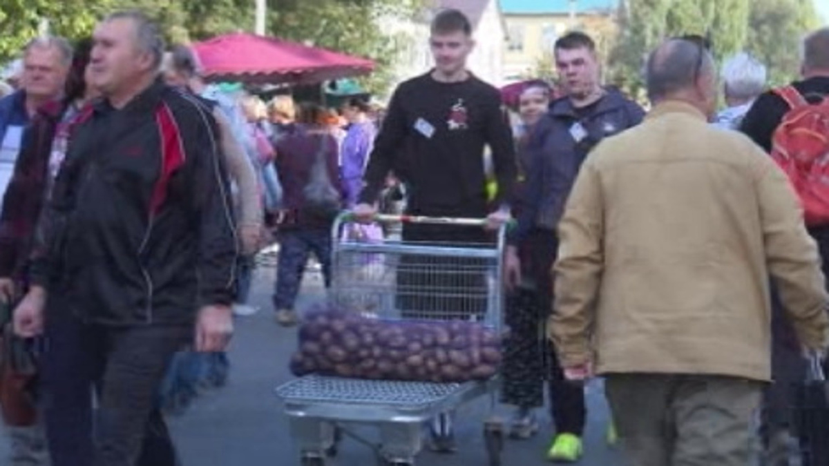 Что предпочитают кушать куряне: неожиданные тренды в рационе