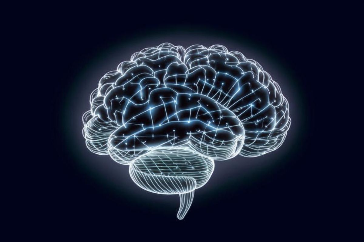 ������ �������� ����� �����: ������������� ������ ������