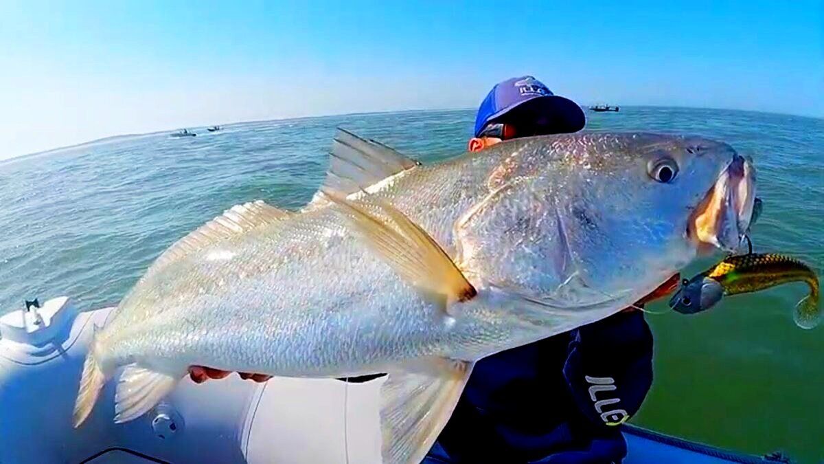 ����������� �����������: ����� ����� ������������ �������