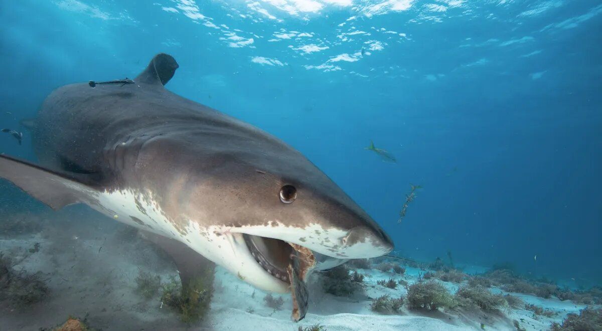 ��� ���� ����� ������ 10 ����������� ����� �� �����?