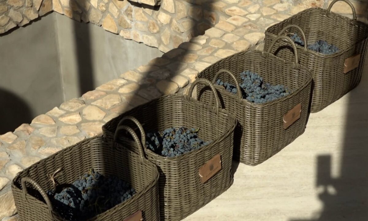 В Темрюкском районе открыта первая античная винодельня в мире