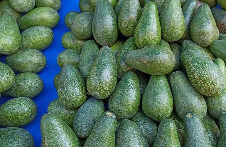 ��� ������ ����������� ������� � ����������� �����