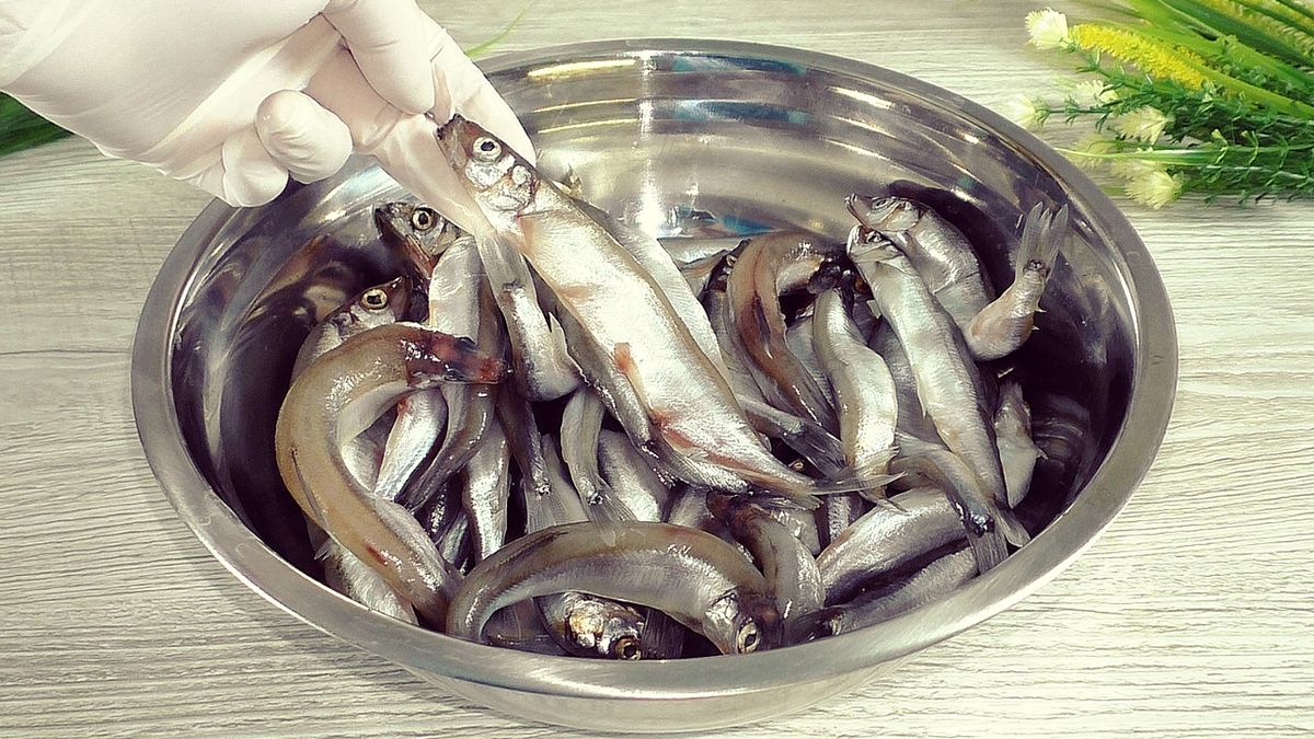 ����� ������ ����� �����, ������� �������� ���� �����