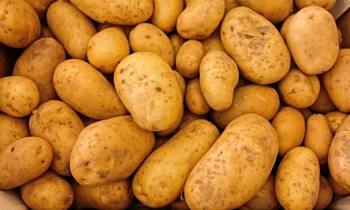 Азбука снеков планирует полное импортозамещение картофеля к 2028 году