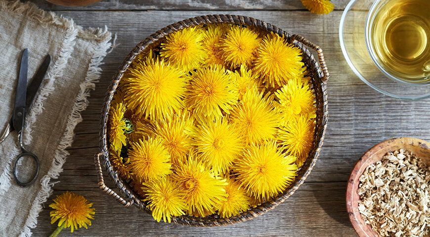 �������� �������� �����������: ������� �� ����� ����