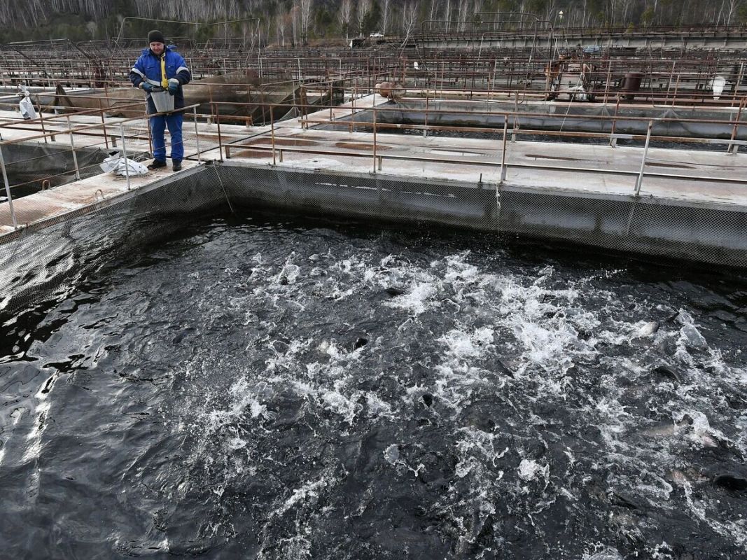 ������������ � ������: ���� � ����������� ���� � �������������