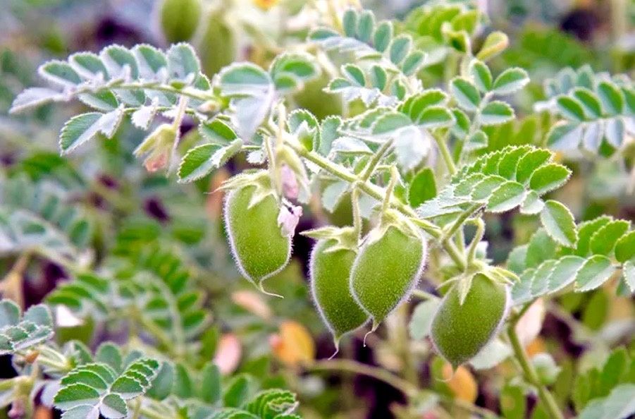 ��������: �������� �������� � ���������� �������