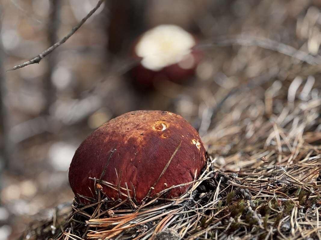 ��������� �� ����