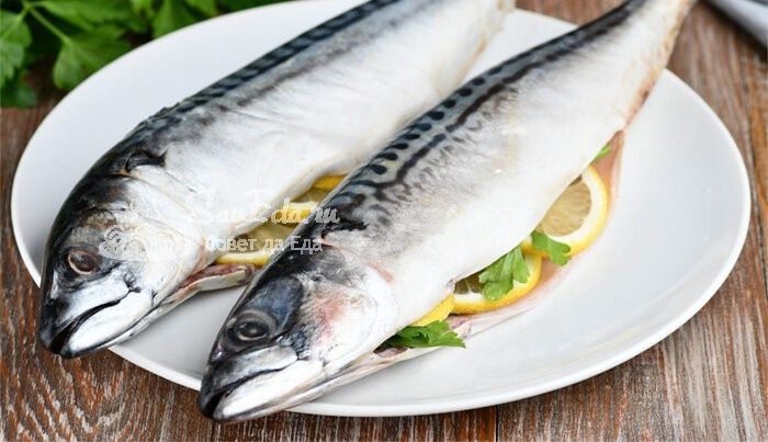 ����� ������ ������ ����: ������ �������� � �������