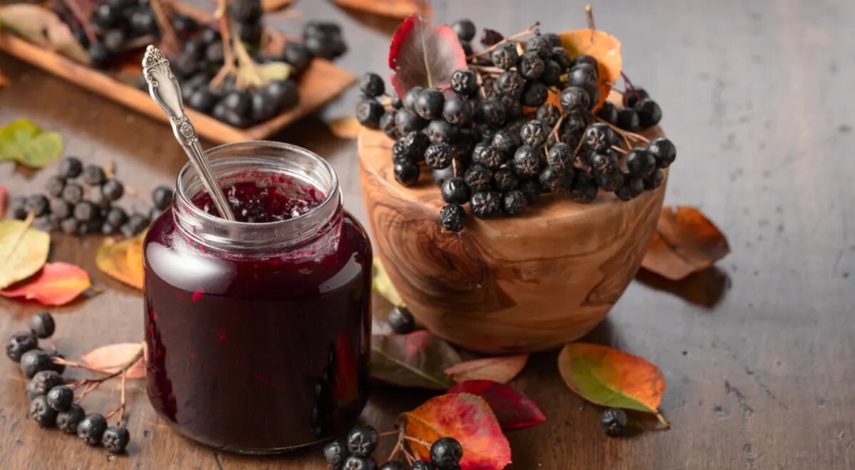 Польза рябины: красная или черная — что выбрать?