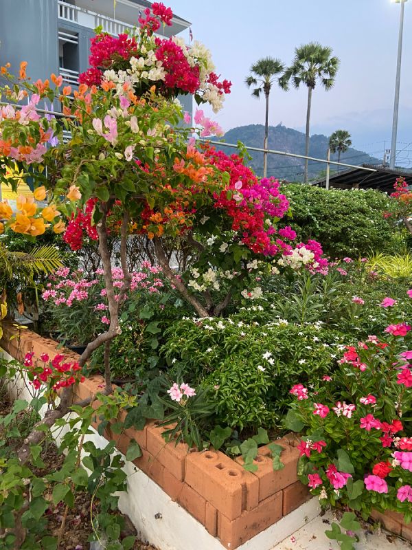 ������ �� �������: ������ ������������� � ��������