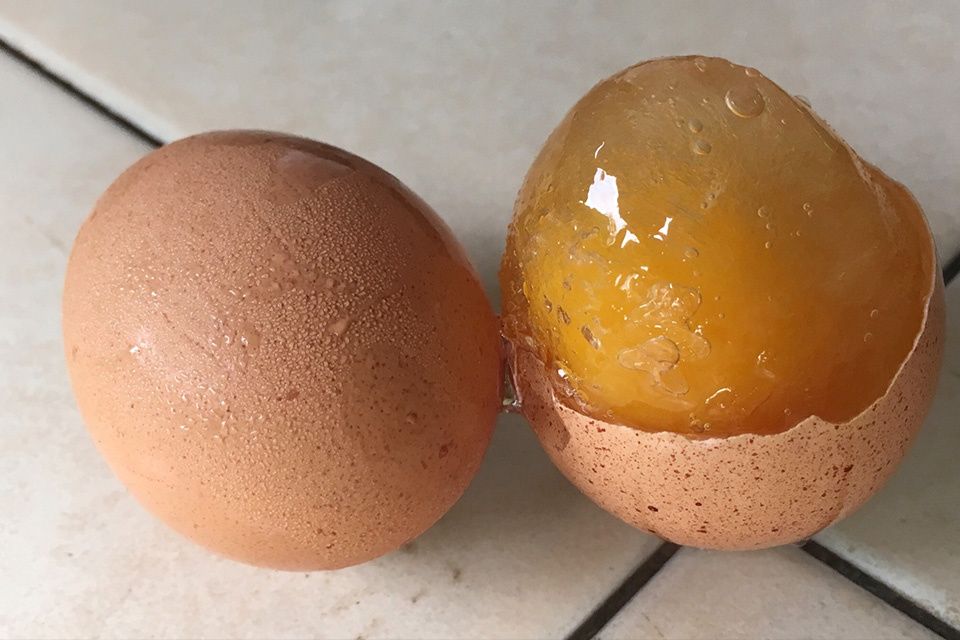 Замораживание яиц: что нужно знать об этом процессе