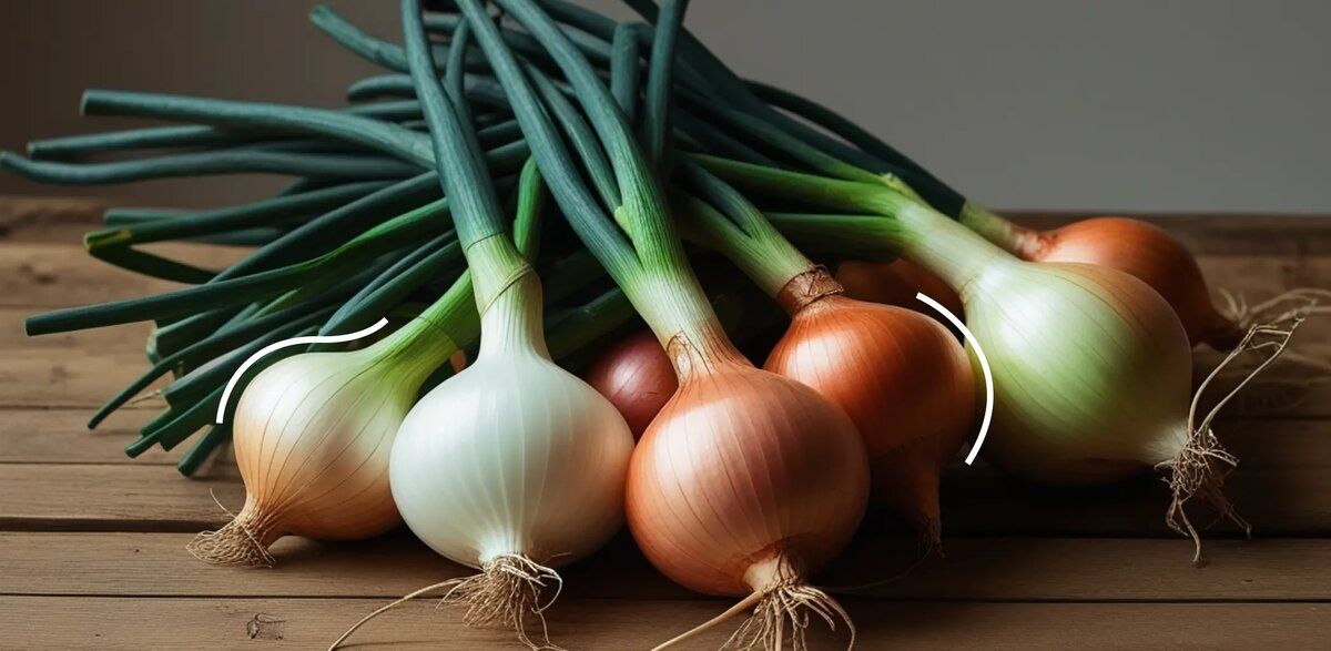 ��� ������� ������ ��� ��� ������ �������: ����� � ������