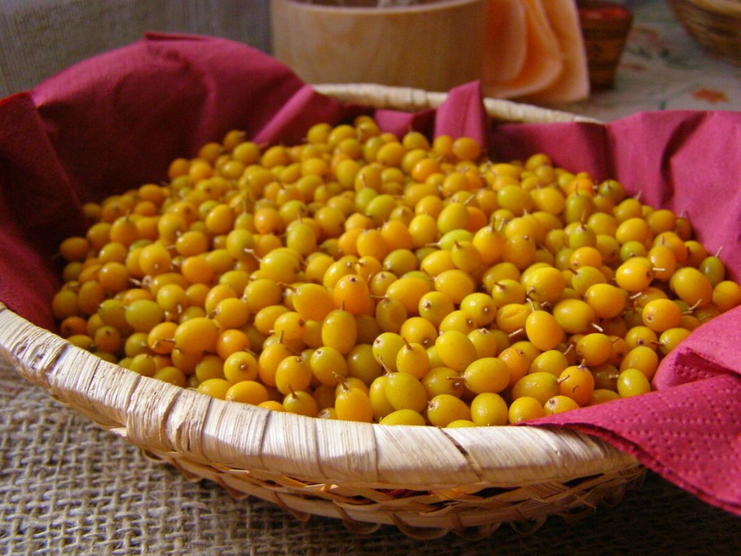 ��� ����������� ����������� ������� �� ����: �������������� ������� ��� ��������